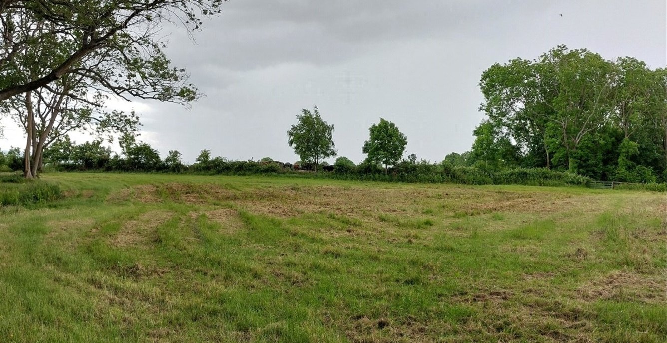 Land for sale in Fernbank Wood, Fernbank Wood, Redditch, Worcestershire