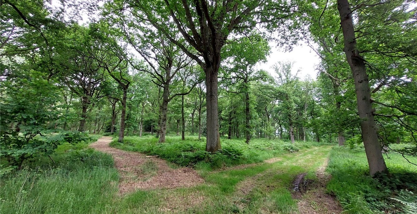 Land for sale in Fernbank Wood, Fernbank Wood, Redditch, Worcestershire