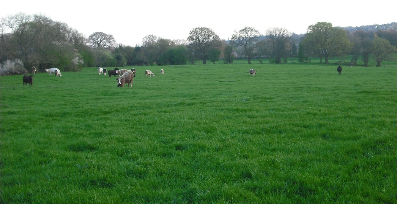 Land for sale in Land off Park Road, Llay Bank, Cefn y Bedd, Wrexham, LL12 Fisher German