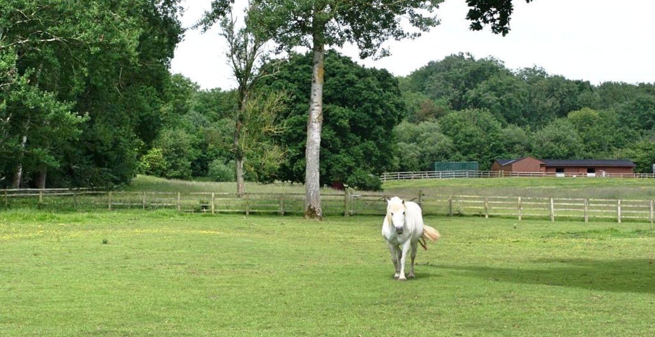 Land for sale in Land At Stoke Park Wood, Off Shutlanger Road, Stoke