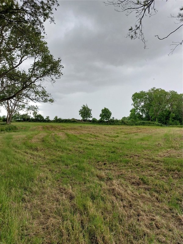 Land for sale in Fernbank Wood, Fernbank Wood, Redditch, Worcestershire