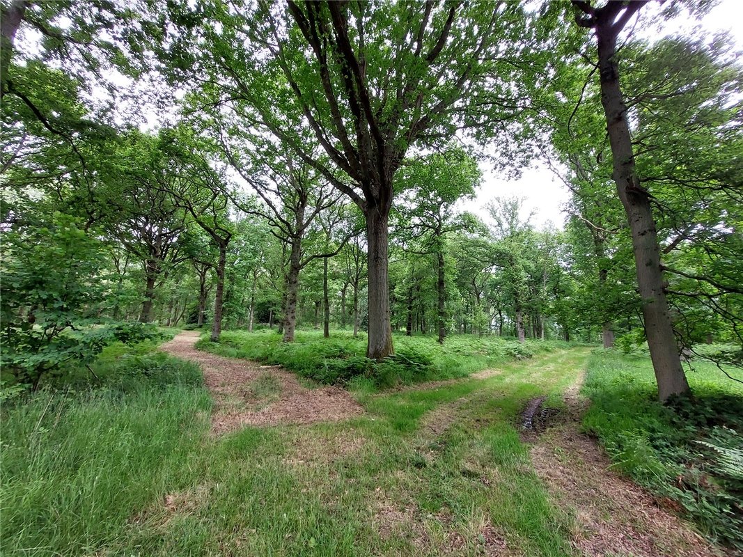 Land for sale in Fernbank Wood, Fernbank Wood, Redditch, Worcestershire
