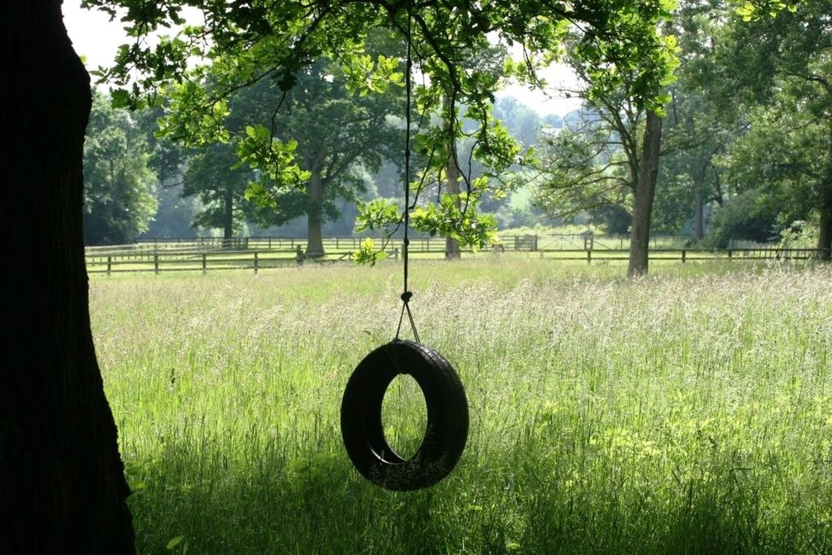 Land for sale in Land At Stoke Park Wood, Off Shutlanger Road, Stoke