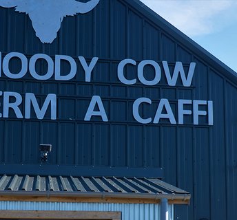 The Moody Cow